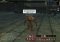 EverQuest II image 6 thumbnail