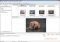 Extreme Picture Finder image 5 thumbnail
