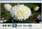Eye of GNOME Linux image 1 thumbnail