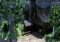 Fable 2 image 5 thumbnail
