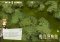 Family Farm image 1 thumbnail