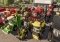 Farming Simulator image 2 thumbnail