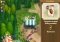 FarmVille Android image 2 thumbnail