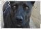 FastStone Image Viewer image 5 thumbnail