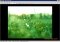 FastStone MaxView image 1 thumbnail