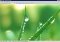 FastStone MaxView image 2 thumbnail
