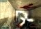 FEAR image 1 thumbnail