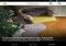 feedly Android image 1 thumbnail