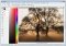 FireAlpaca image 1 thumbnail