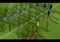 First Touch Soccer 2015 Android image 6 thumbnail