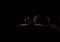 Five Nights at Freddy's 2 image 6 thumbnail