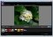Flickroom image 1 thumbnail