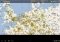Flightradar24 Pro Android image 5 thumbnail