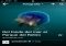 Flipboard iPhone image 3 thumbnail