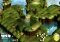 Flock! PC image 6 thumbnail