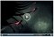 Flowplayer image 1 thumbnail