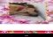 Romantic true love photo frame Android image 2 thumbnail
