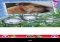 Romantic true love photo frame Android image 3 thumbnail