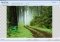 FotoWorks image 2 thumbnail