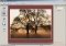 Framing Studio image 4 thumbnail