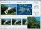 Free Fun Morphing image 5 thumbnail