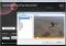Free Video to Flash Converter image 2 thumbnail