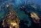 From Dust Webapps image 1 thumbnail