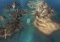 From Dust Webapps image 3 thumbnail