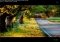 Fullscreen Photo Viewer image 2 thumbnail