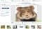 Funny Photo Webapps image 1 thumbnail