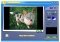 FunPhotor image 3 thumbnail