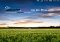 FWeather Android image 5 thumbnail