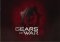 Gears of War 2 image 1 thumbnail