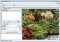 GiftedMotion image 1 thumbnail