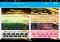 GO Keyboard Android image 1 thumbnail