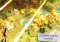 Godus Android image 6 thumbnail