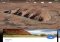 Google Earth iPhone image 2 thumbnail