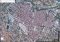 Google Maps Webapps image 3 thumbnail