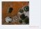Google Satellite Maps Downloader image 4 thumbnail
