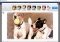 Gramblr image 5 thumbnail