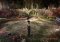 Gray Matter image 5 thumbnail