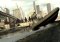GTA 4 - Grand Theft Auto image 8 thumbnail