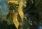Halo: Spartan Strike iPhone image 4 thumbnail
