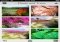Heliog iPhone image 1 thumbnail