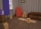 Hello dog of Neighbor Android image 4 thumbnail