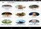 Hitwe Android image 3 thumbnail
