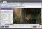 Home Multimedia Library image 1 thumbnail