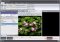 Home Multimedia Library image 2 thumbnail