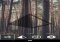 HPSTR Android image 4 thumbnail