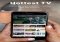 Hulu: Watch TV Shows & Stream the Latest Movies iPhone image 1 thumbnail